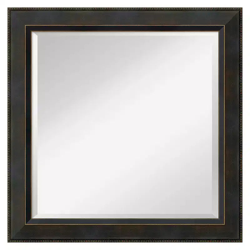 24" x 24" Signore Bronze Wood Framed Wall Mirror - Amanti Art: Square Beveled, No Assembly, Traditional Decor